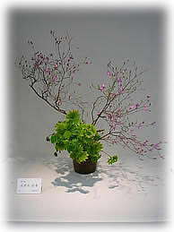 第41回日本いけばな芸術展